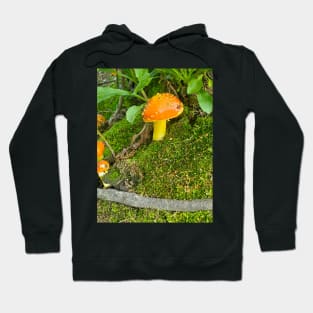 Amanita Village Hoodie